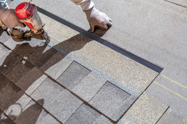 Best Roof Gutter Cleaning  in Venice, IL